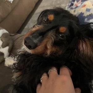 Meet your Posher, Adriana